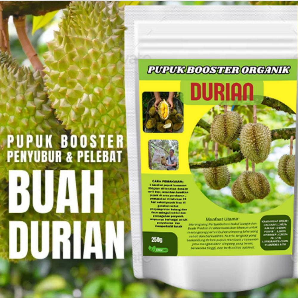 Pupuk organik Pelebat buah Durian Agar Lebih Cepat Berbuah Lebat Pupuk Penyubur buah Durian