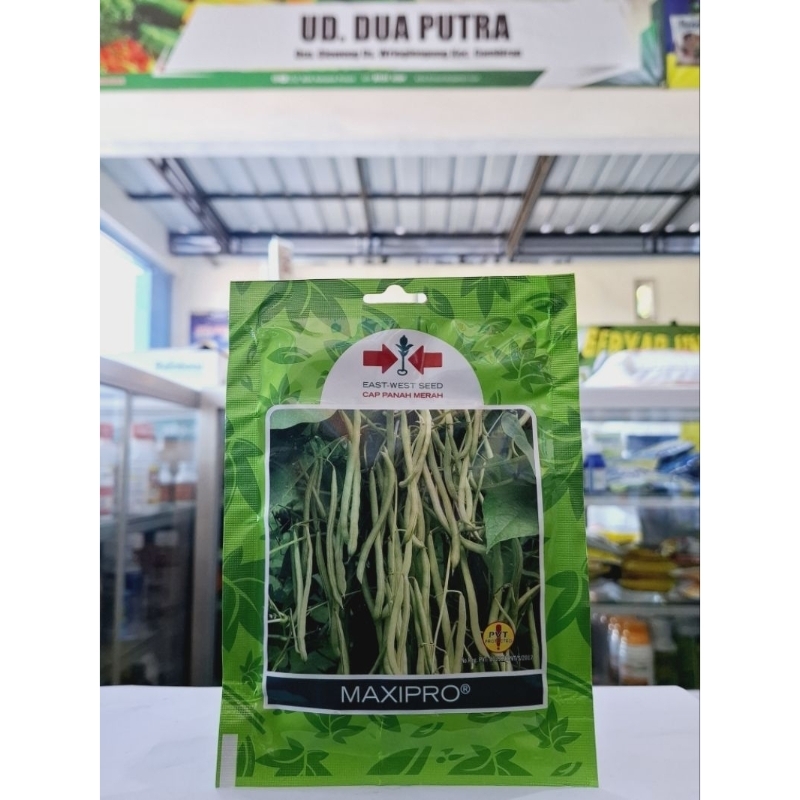 Benih Buncis MAXIPRO CAP PANAH MERAH