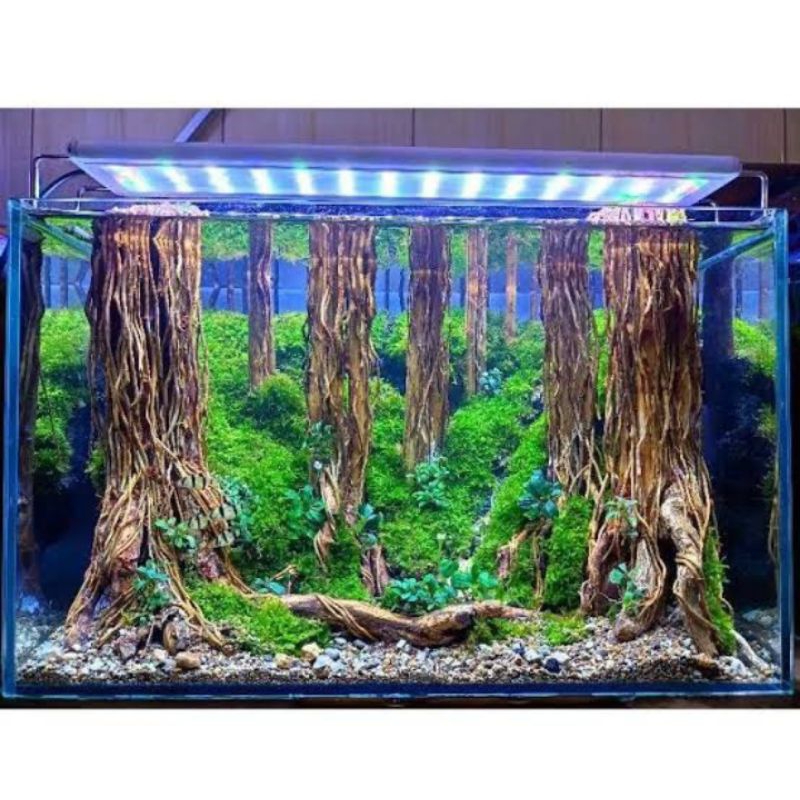 hardscape jungle 60cm