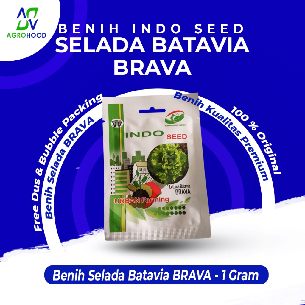 Benih Bibit Selada Batavia Brava Indo Seed Kemasan 1 Gram