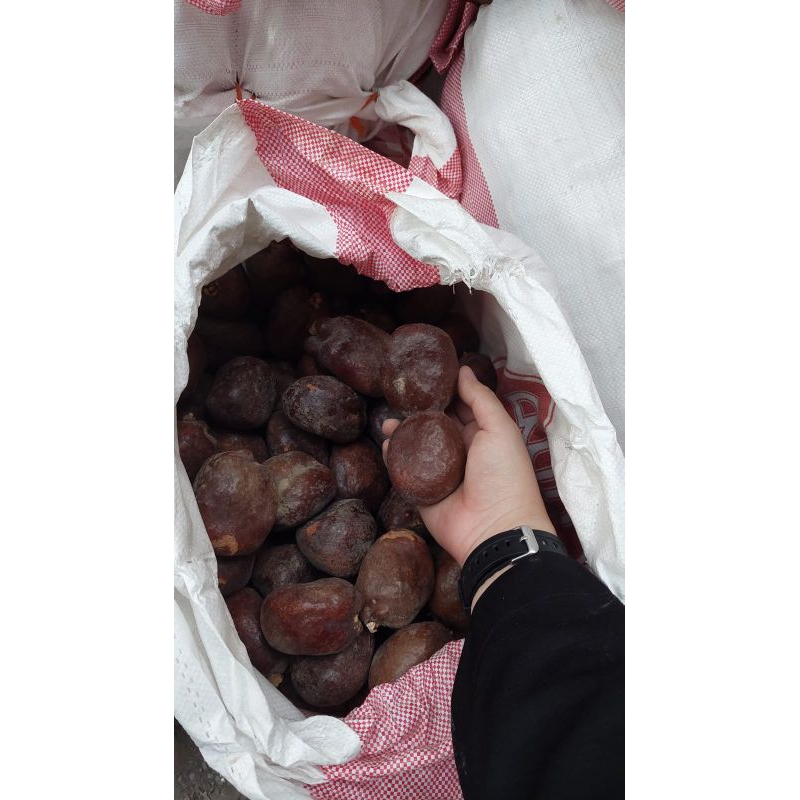 

Buah Zuriat Madinah 1kg