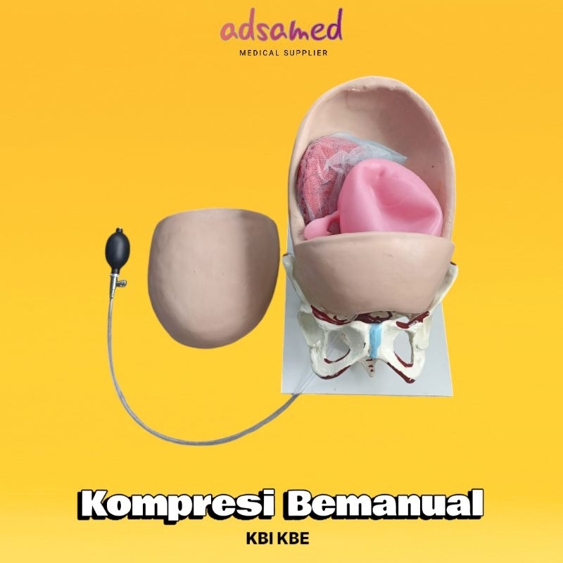 Phantom Manikin Kompresi Bemanual Kbi Kbe / Alat Peraga Manikin kompresi Bemanual Kbi Kbe