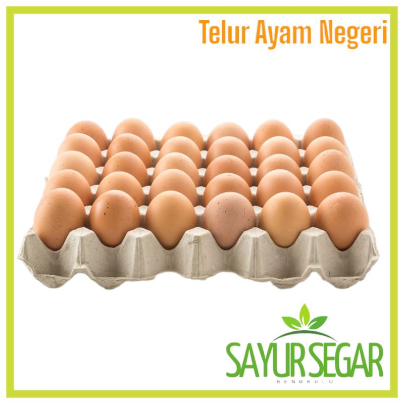 

Telur Ayam Negeri 1 Karpet