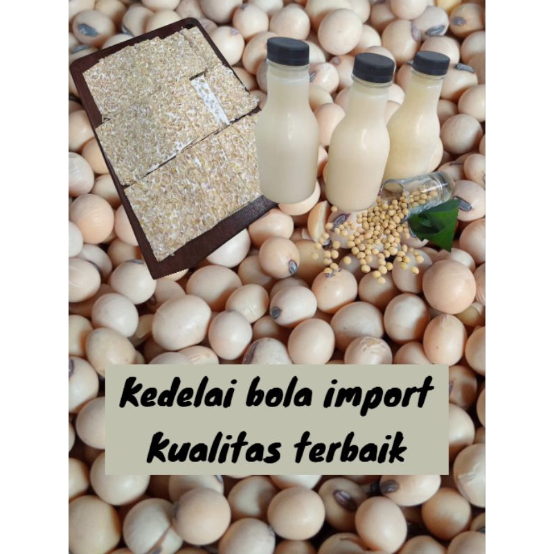 

1kg kacang kedelai bola grade A - Kacang kedelai tempe - Kacang kedelai susu