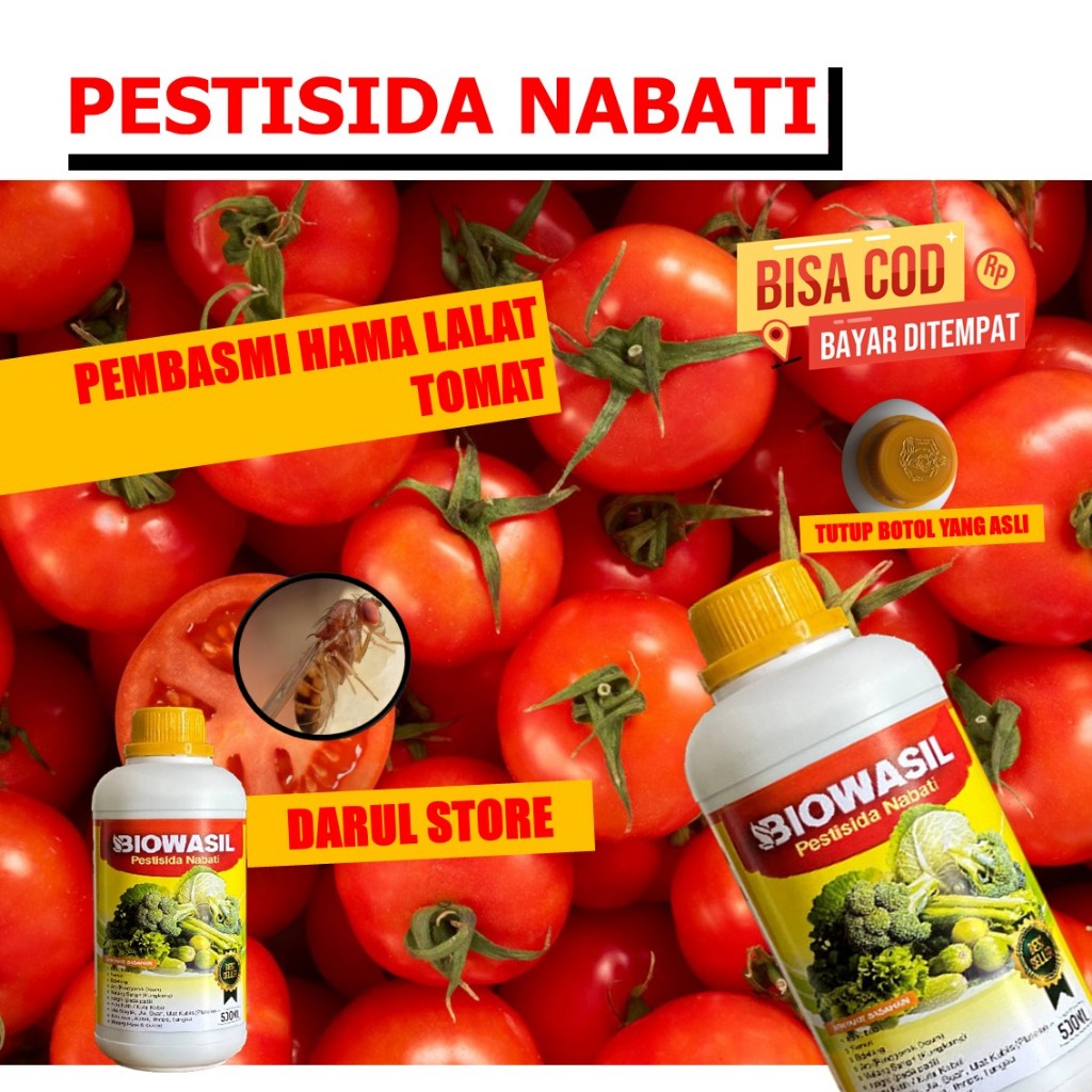 Pupuk Hama Lalat Sayuran Tomat cherry BIOWASIL - Pupuk Pelengkap Atasi Hama lalat Buah Tomat cherry 