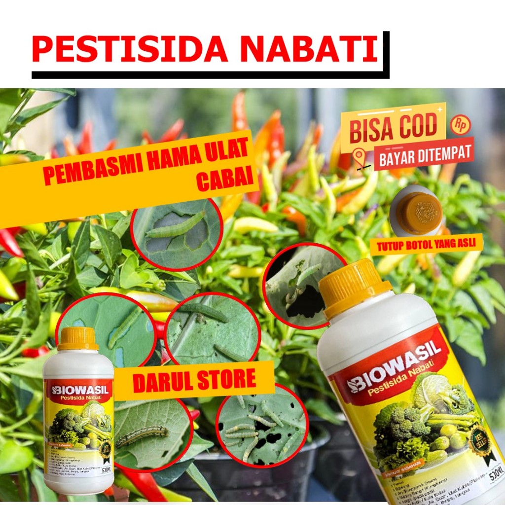 HOT PROMO Pupuk Organik Pembasmi Hama Ulat Tanaman Cabe Keriting BIOWASIL Cabe Paprika, Hijau, Rawit