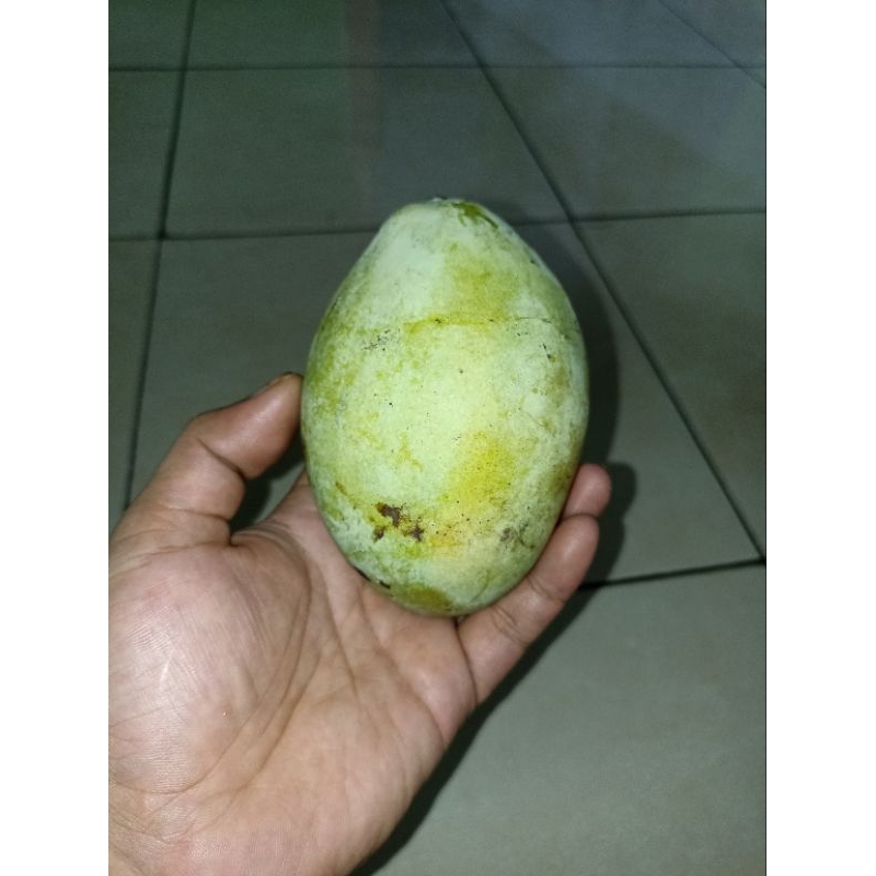 

Mangga cengkir 1kg mengkel + Bumbu geledeg orang karawang