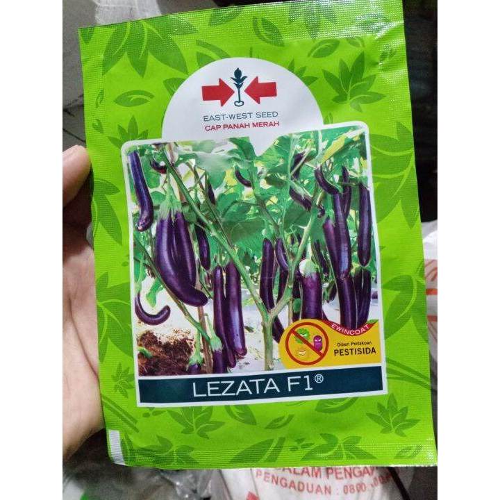 Bibit Terong Lezata  F1 isi 1100 butir