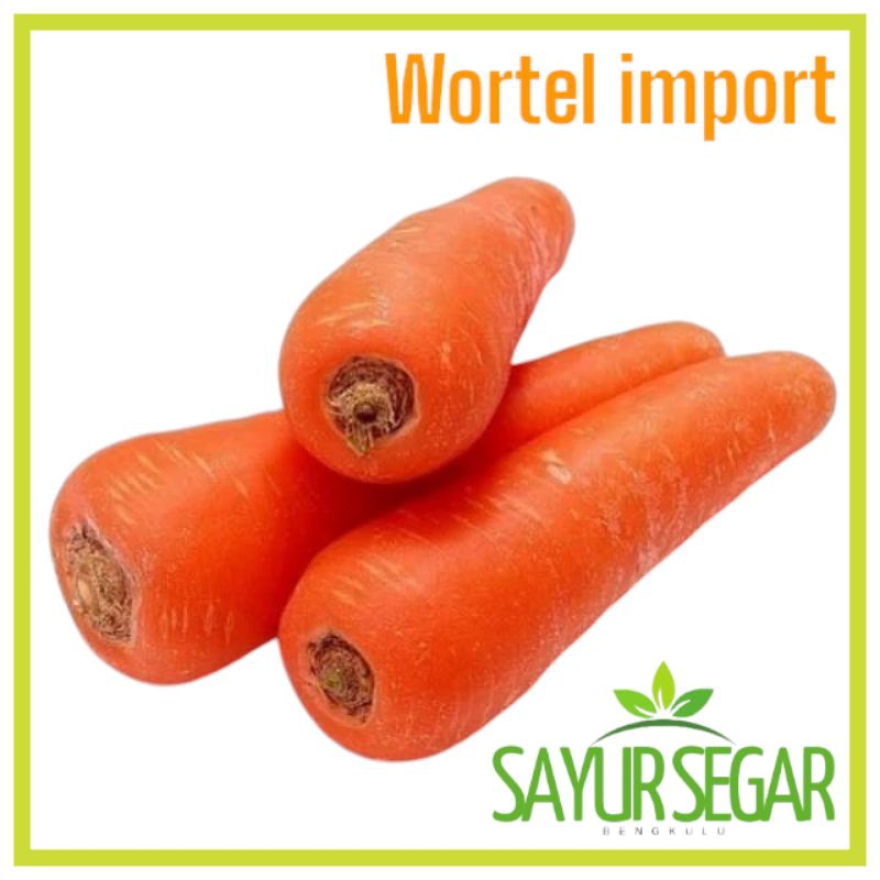 

Wortel Import