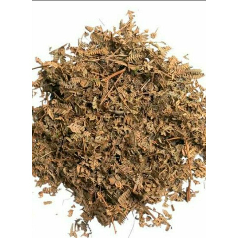 andam daun pakis