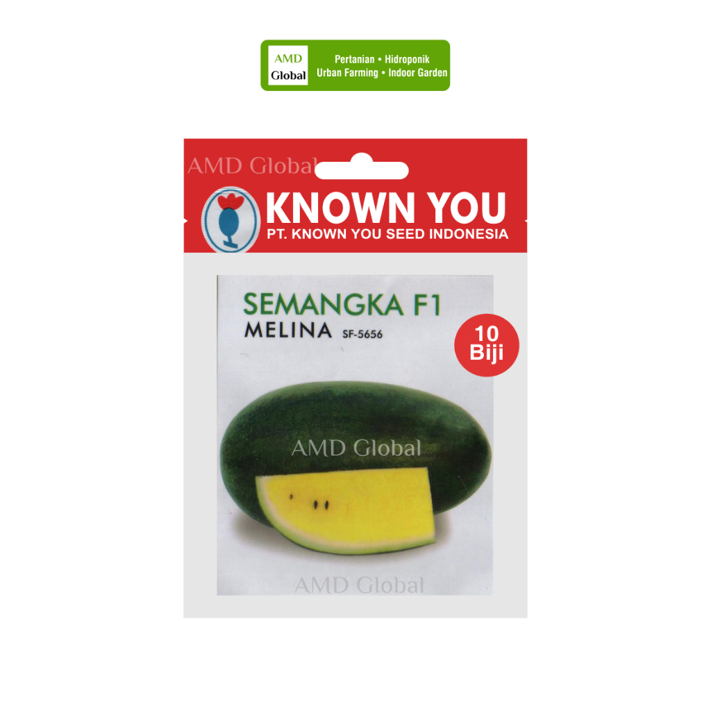 Benih Semangka Kuning Melina F1 Melina SF-5656 Known You Seed Isi 10 Biji