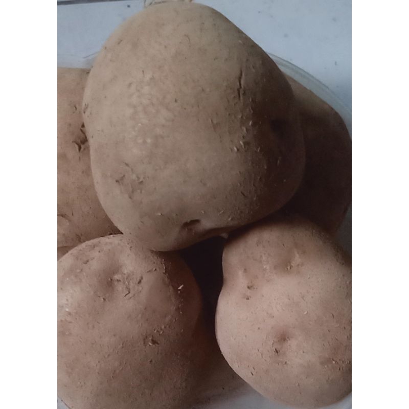 

kentang dieng super 1000g