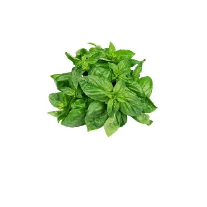 

Daun Kemangi 1 ikat
