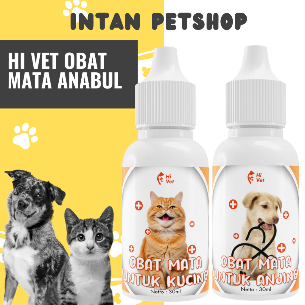 Hi Vet Tetes Mata Anjing - Obat Tetes Mata Anjing - Tetes Mata Anjing Belekan