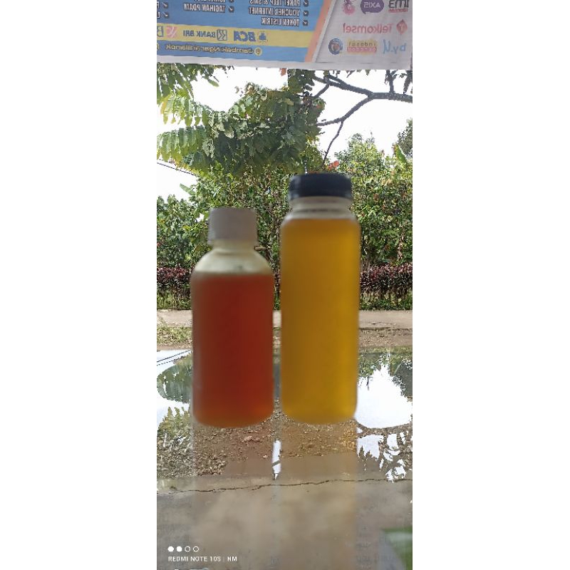 

madu galo galo bukittinggi (thorasika 250 ml)