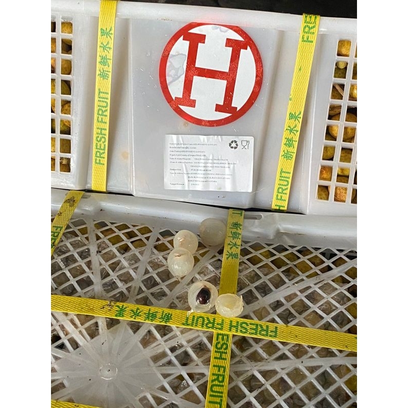 

(1kg) kelengkeng manis daging tebal/lengkeng/buah kelengkeng