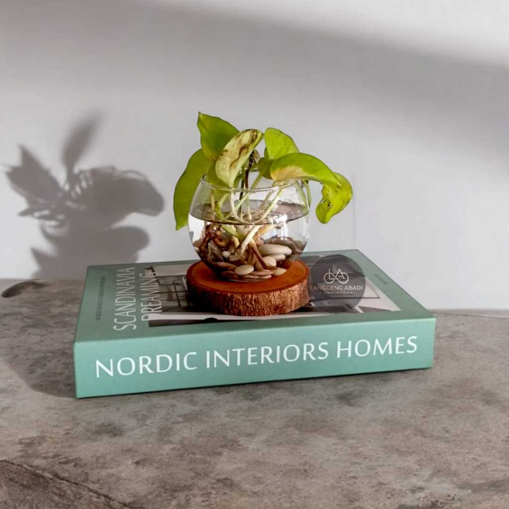 Vas Kaca Bulat Mangkuk Vas Kaca Estetik Vas Kaca Vas Kaca Bunga