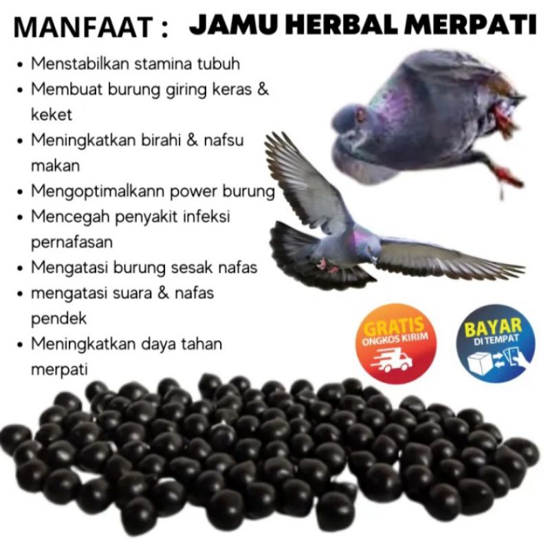 JAMU MERPATI SUPER GIRING KERAS isi 100 butir sarang walet ferfect power jamu ginseng teki hff rjb x