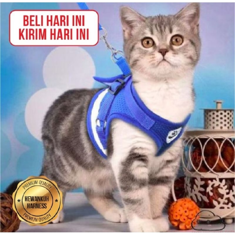 HARNES HEWANKUH ROMPI HARNES KUCING KELINCI ANJING BESAR KECIL TERMASUK TALI PANJANG