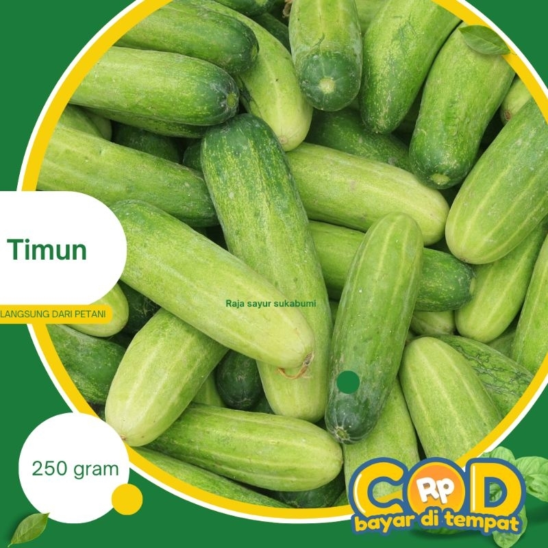 

Timun acar/baby 250gr