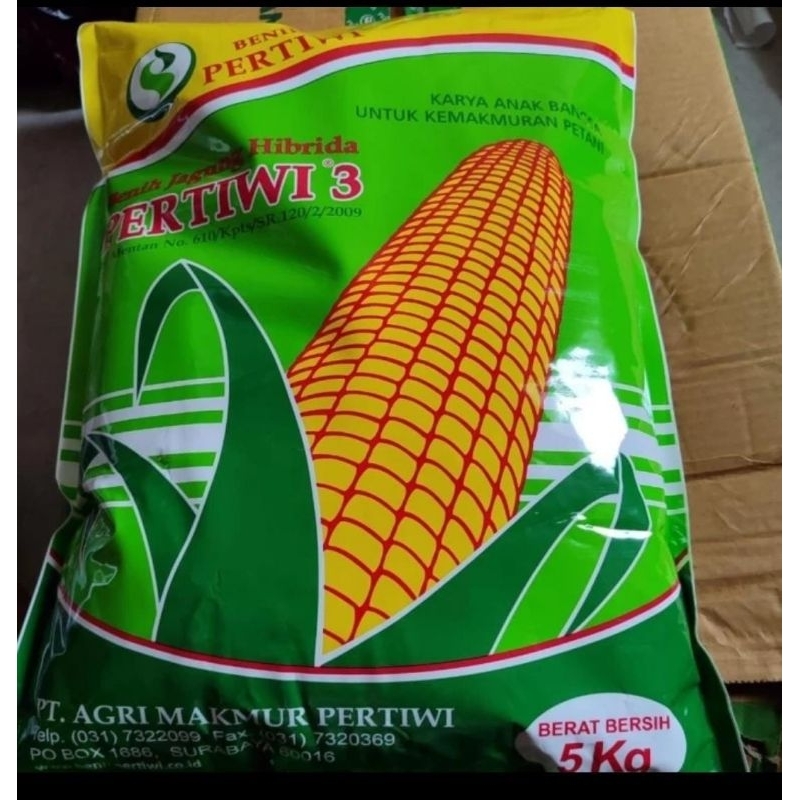 benih jagung hibrida pertiwi 3 kemasan 5kg original