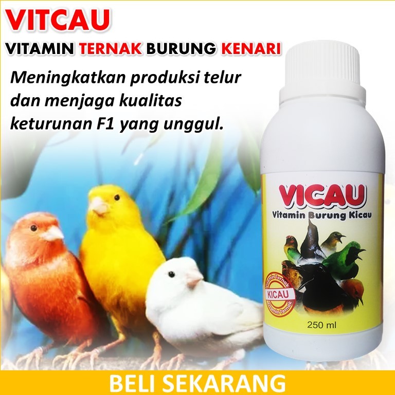 VITCAU / Vitamin Burung Kenari / Suplemen Burung Kenari / Vitamin untuk Kenari / Vitamin Penambah Na