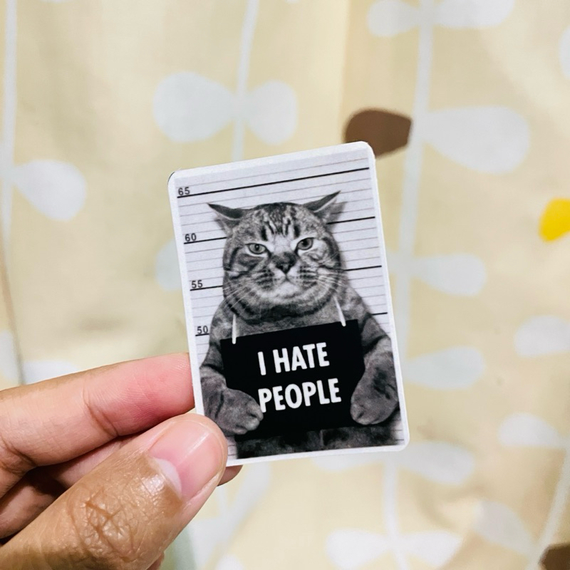 Stiker Kucing | Stiker Lucu | Sticker Aesthetic | Stiker Vinyl | Stiker HP