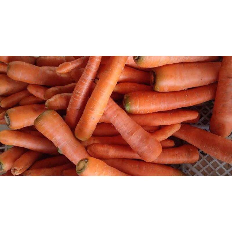 

Sayur Segar Wortel 1kg