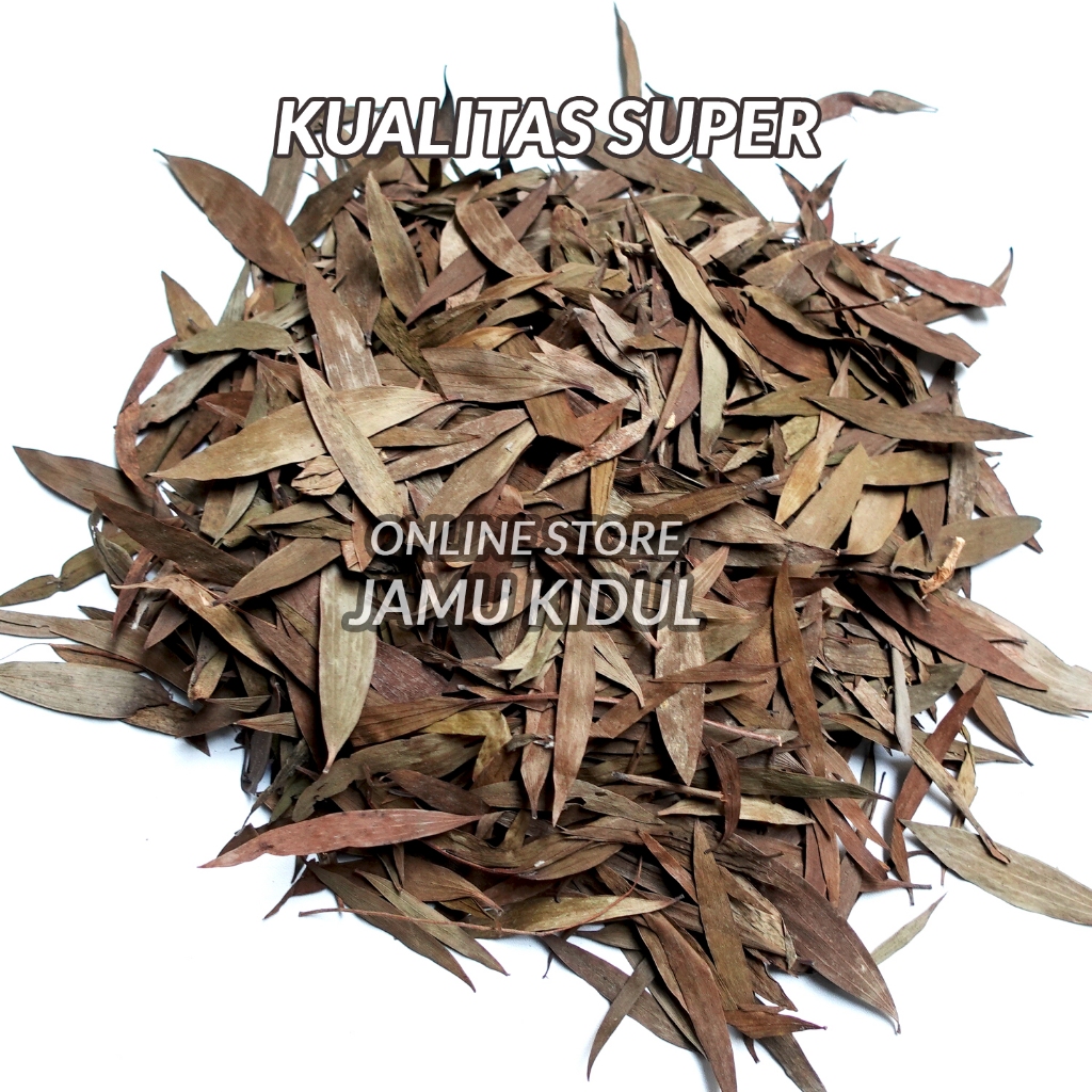 

Daun Kayu Putih Kering 100gr Daun Gelam Asli