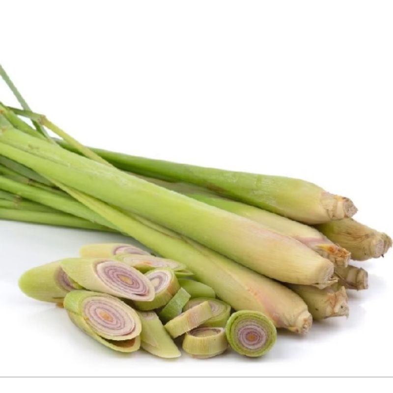 

Batang Daun Sere paket 1ikat isi 3/4 batang