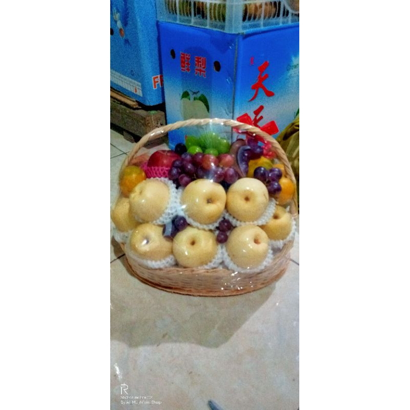 

Buah Segar Import Perkilogram