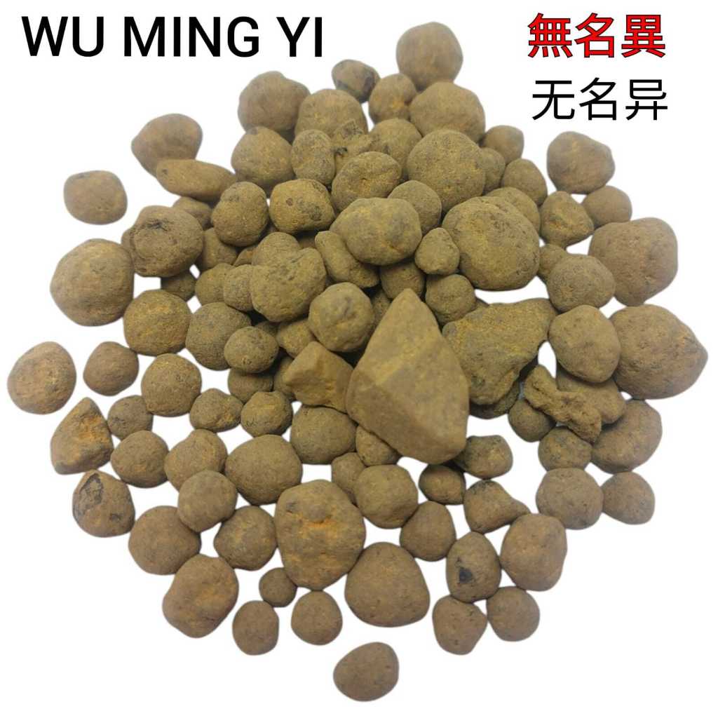 

Wu Ming Yi 无名异 Wuming Zi PYROLUSITE