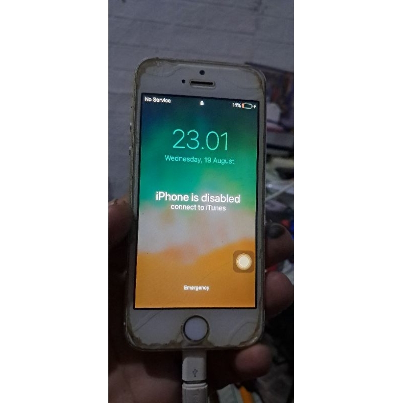 iphone A1530 disable