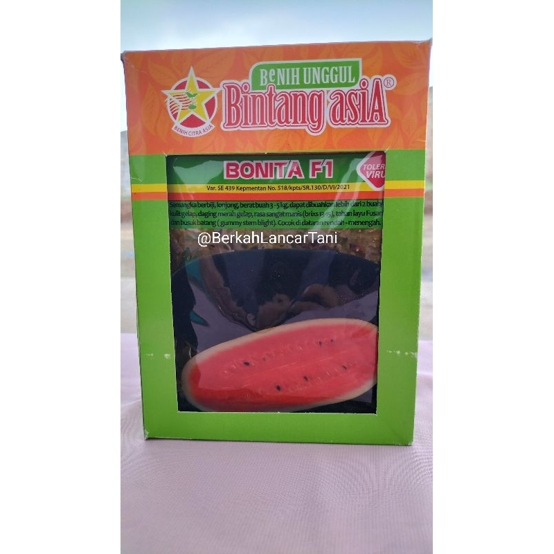 Benih bibit semangka BONITA F1 [Semangka Inul]