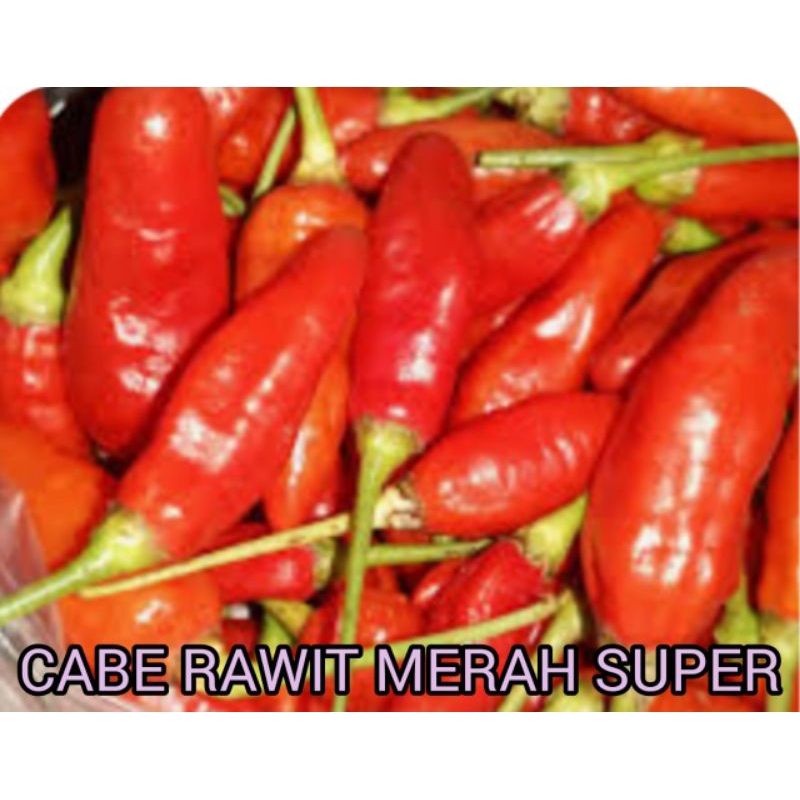 

CABE RAWIT MERAH SUPER RP 19.000 / 250 GRAM