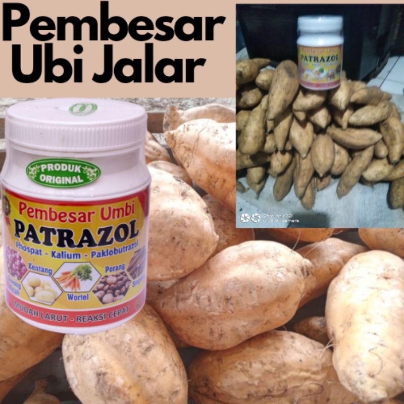 Pupuk Pembesar Ubi Jalar Patrazol 450 gr