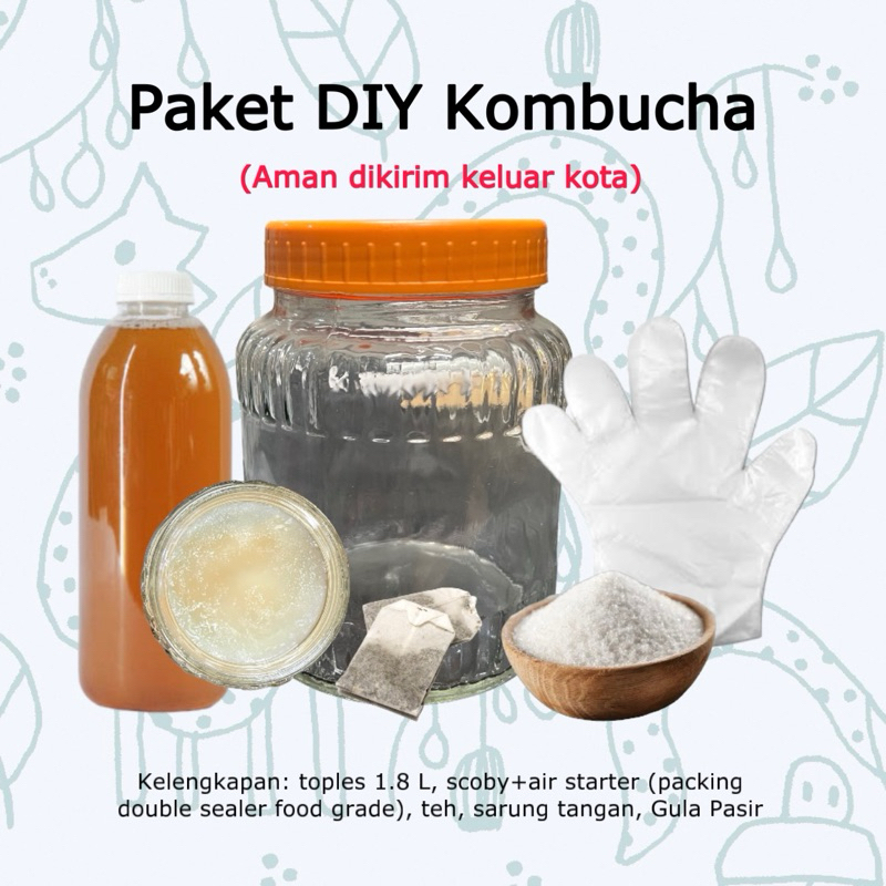 

Paket lengkap DIY kombucha