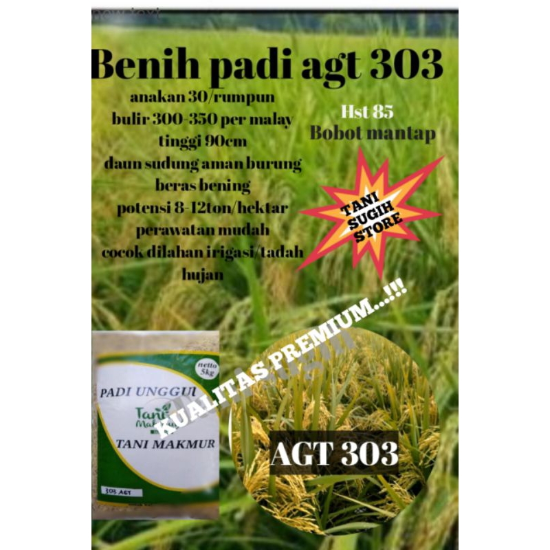 benih padi AGT 303 kemasan 5kg,bobot joss,hasil mantap