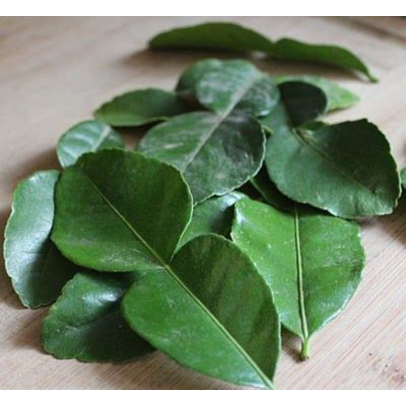 

Daun Jeruk Angka 8 Aseli per Pack isi 50 lembar