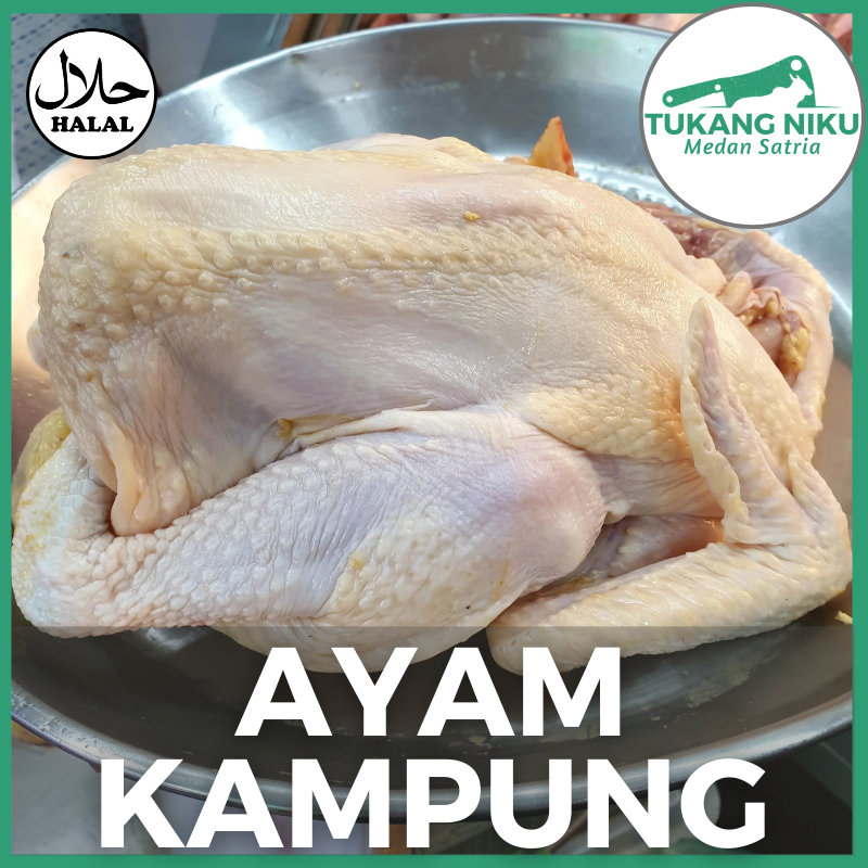 

AYAM KAMPUNG - HALAL MUDA FROZEN SEGAR FRESH KG GR GRAM BEKASI BESAR PREMIUM