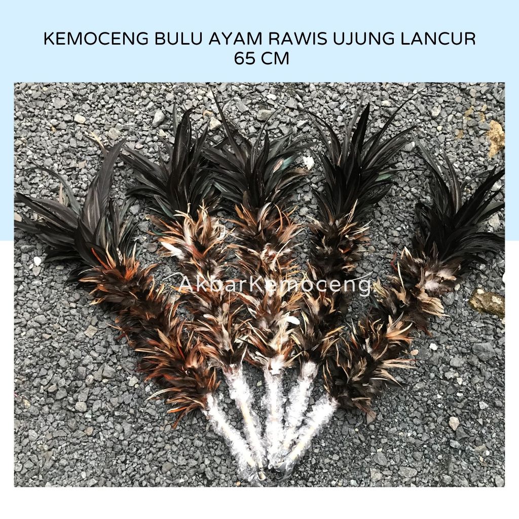 KEMOCENG BULU AYAM RAWIS MIX LANCUR PANJANG 65 CM
