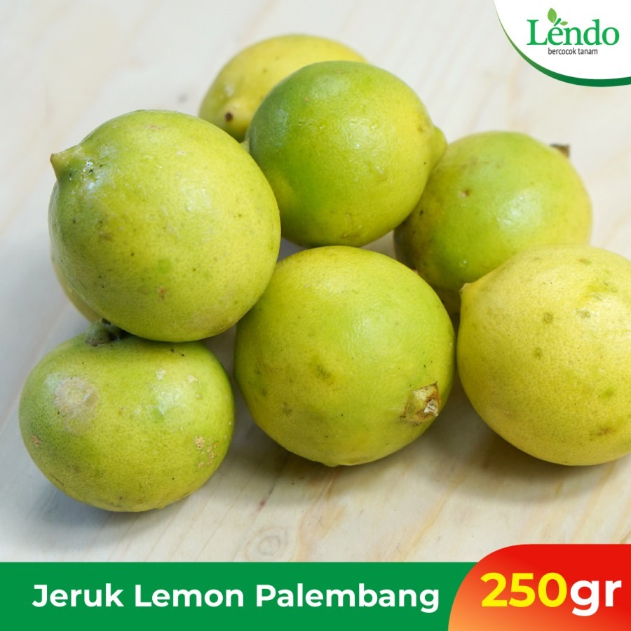 

Jeruk Lemon Palembang