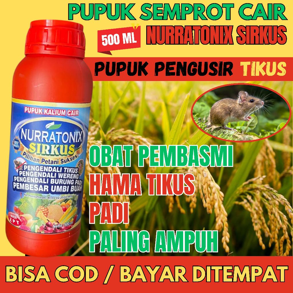 PENGUSIR HAMA TIKUS PALING BAGUS – OBAT SEMPROT CAIR PENGENDALI HAMA TIKUS – PESTISIDA HAMA TIKUS – 
