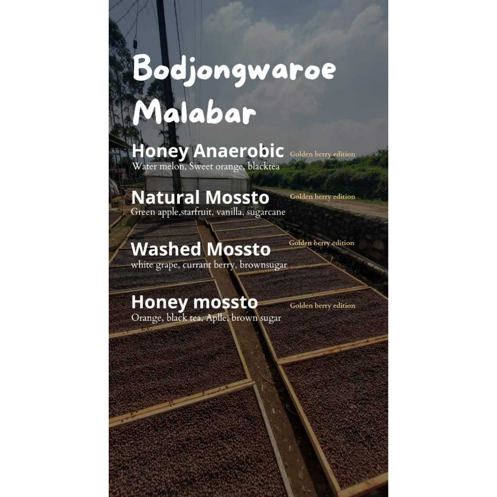 

Kopi bodjongwaroe malabar