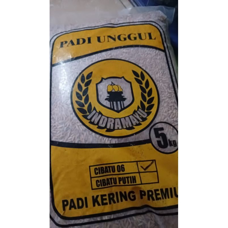 Benih padi Cibatu 06