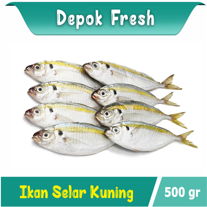 

IKAN SELAR IKAN LAUT BERKUALITAS 500 GRAM