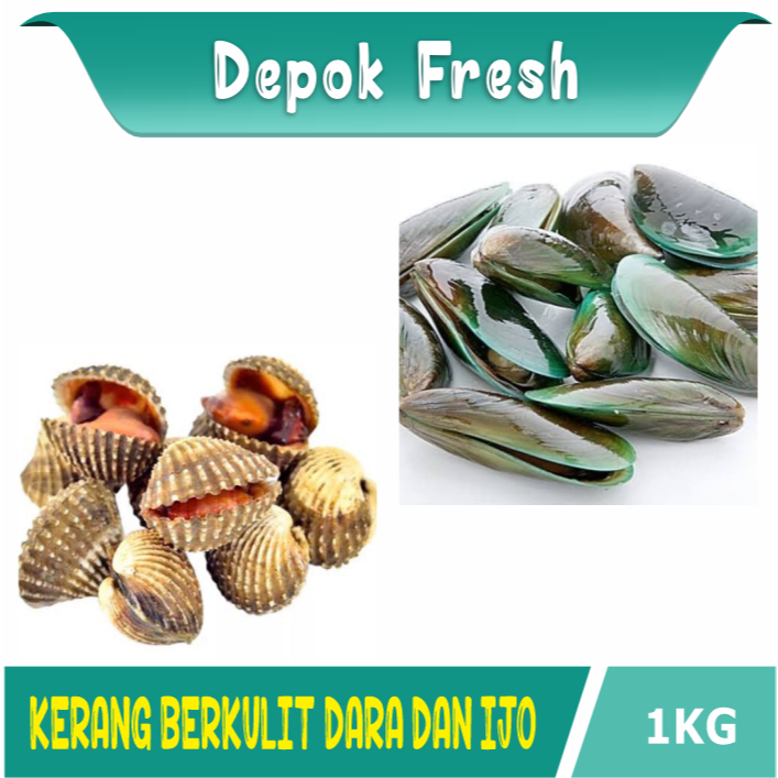 

KERANG LAUT KERANG DARAH /KERANG HIJAU BERKULIT HIDUP SEGAR 1KG