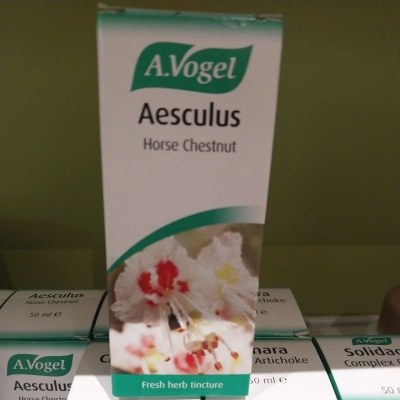A,vogel aesculus