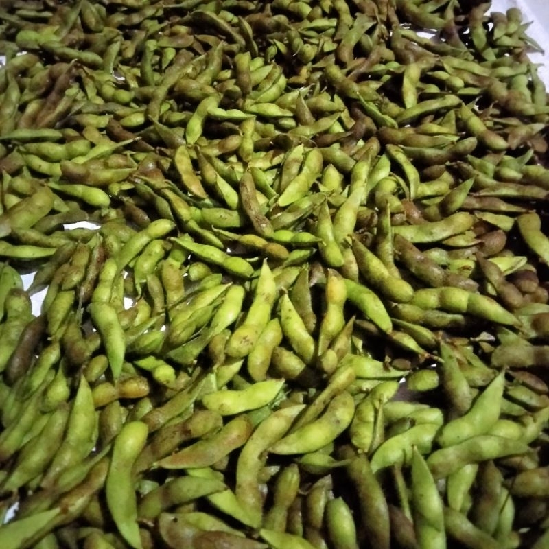 

Kacang kedelai edamame/kedelai jepang