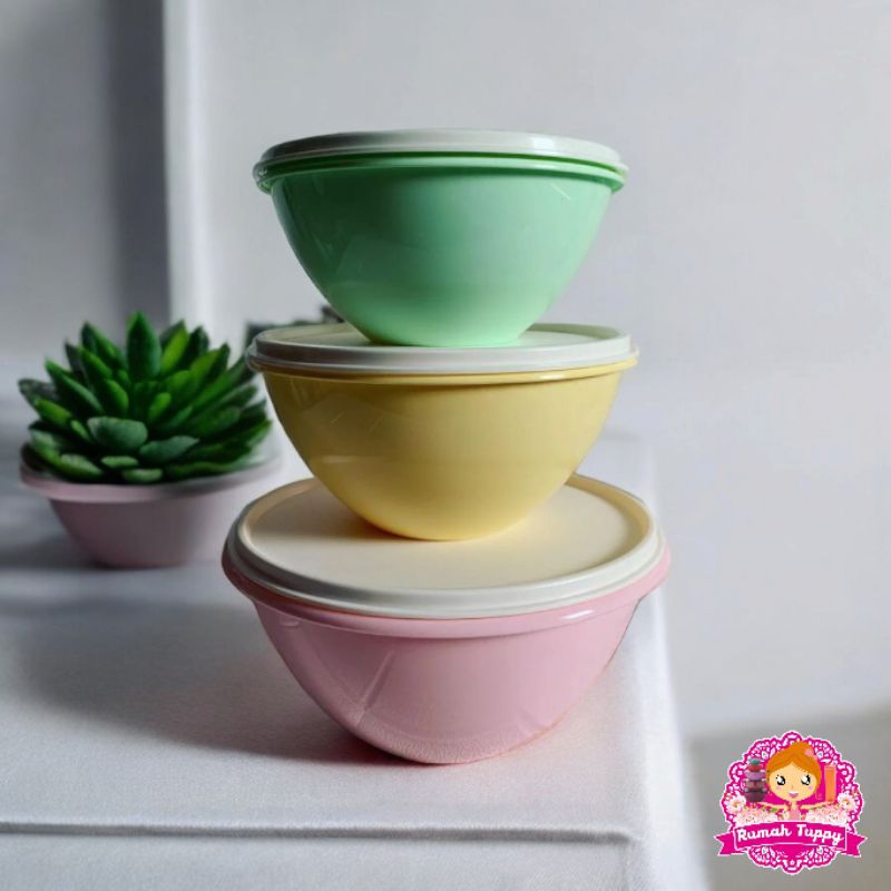 Promo Wadah Tempat Toples Mangkok Makanan Sayur Vintage Wonderlier Bowl Set Tupperware Tuppy Murah